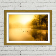 Load image into Gallery viewer, Golden Morning Fog Duck Pond