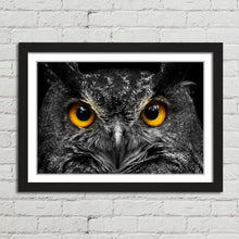Load image into Gallery viewer, Cute Owl Staring