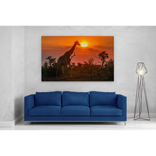 Load image into Gallery viewer, Giraffe in Kruger Park