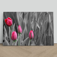 Load image into Gallery viewer, Pink Tulips in Black and White