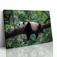 Load image into Gallery viewer, Sleeping Panda China