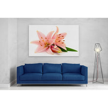 Load image into Gallery viewer, Pink Lillies Flowers