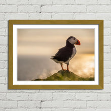 Load image into Gallery viewer, Atlantic Puffin in Mykines
