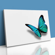Load image into Gallery viewer, Turquoise Butterfly Nature