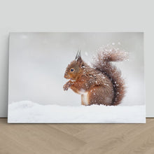 Load image into Gallery viewer, Red Squirrel in Snow England Winter