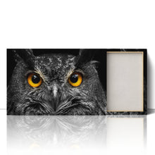 Load image into Gallery viewer, Cute Owl Staring