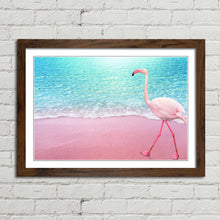Load image into Gallery viewer, Pink Flamingo on Beach Aruba