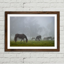 Load image into Gallery viewer, Horse Herd in Autumn