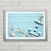 Load image into Gallery viewer, Marine Anchor Starfish Shells