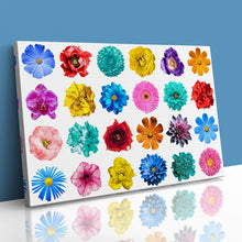 Load image into Gallery viewer, Flowers of various Colours