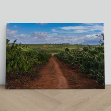 Load image into Gallery viewer, Coffee Plantation Pleiku Vietnam