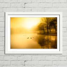 Load image into Gallery viewer, Golden Morning Fog Duck Pond