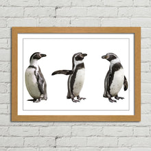 Load image into Gallery viewer, Cute Humboldt Penguin Family