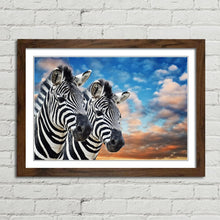 Load image into Gallery viewer, Wild Zebras in Africa