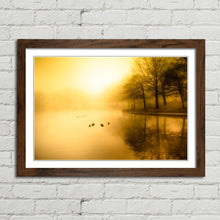 Load image into Gallery viewer, Golden Morning Fog Duck Pond
