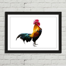 Load image into Gallery viewer, Rooster Cock Cockerel