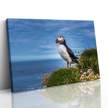 Load image into Gallery viewer, Puffin on Latrabjarg Cliffs