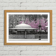 Load image into Gallery viewer, Pink Blossom Tree New York Subway