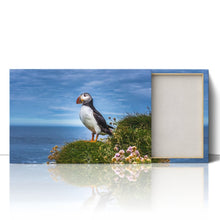 Load image into Gallery viewer, Puffin on Latrabjarg Cliffs