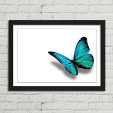 Load image into Gallery viewer, Turquoise Butterfly Nature