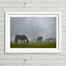 Load image into Gallery viewer, Horse Herd in Autumn