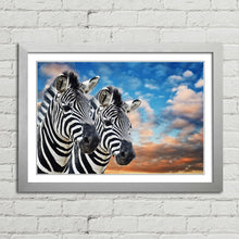 Load image into Gallery viewer, Wild Zebras in Africa