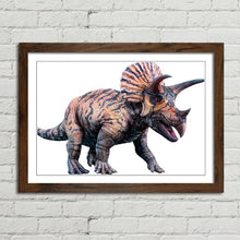 Load image into Gallery viewer, Triceratops Dinosaur