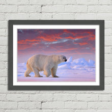 Load image into Gallery viewer, Polar Bear on Arctic Ice