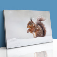 Load image into Gallery viewer, Red Squirrel in Snow England Winter