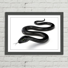 Load image into Gallery viewer, Black Snake with Forked Tongue