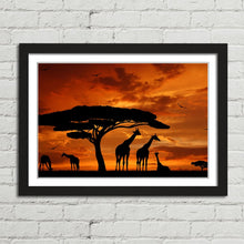 Load image into Gallery viewer, Giraffe Herd at Sunset