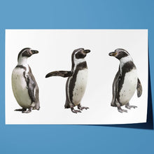 Load image into Gallery viewer, Cute Humboldt Penguin Family