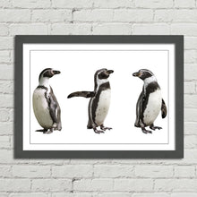 Load image into Gallery viewer, Cute Humboldt Penguin Family