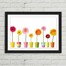 Load image into Gallery viewer, Flower Pots and Daisy Colours