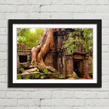 Load image into Gallery viewer, Ta Prohm Temple Cambodia