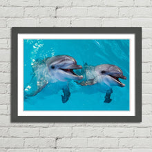 Load image into Gallery viewer, Smiling Dolphins Close Up