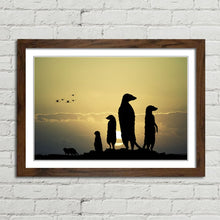 Load image into Gallery viewer, Meerkats at Sunset