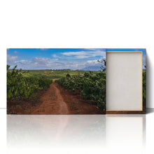 Load image into Gallery viewer, Coffee Plantation Pleiku Vietnam