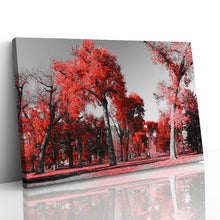 Load image into Gallery viewer, Red Trees in Central Park New York