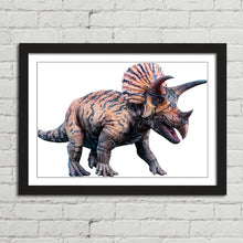 Load image into Gallery viewer, Triceratops Dinosaur