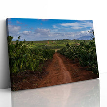 Load image into Gallery viewer, Coffee Plantation Pleiku Vietnam