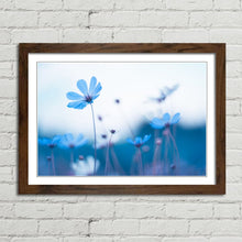 Load image into Gallery viewer, Delicate Blue Flowers