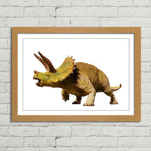 Load image into Gallery viewer, Triceratops Dinosaur Reptile