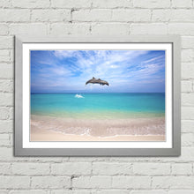 Load image into Gallery viewer, Dolphins Jumping Thailand
