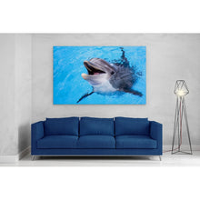 Load image into Gallery viewer, Dolphin Smiling Cute