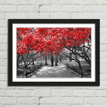 Load image into Gallery viewer, Red Trees Central Park New York