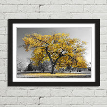 Load image into Gallery viewer, Large Tree with Yellow Leaves Central Park