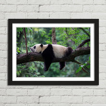 Load image into Gallery viewer, Sleeping Panda China