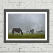Load image into Gallery viewer, Horse Herd in Autumn