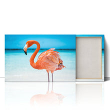 Load image into Gallery viewer, Pretty Pink Aruba Flamingo